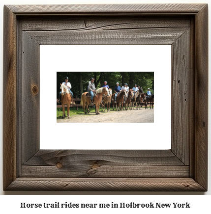 horse trail rides near me in Holbrook, New York